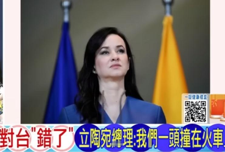 立陶宛总理鲁吉尼埃内3日受访时说，允许台湾在首都维尔纽斯以“台湾”为名开设代表处