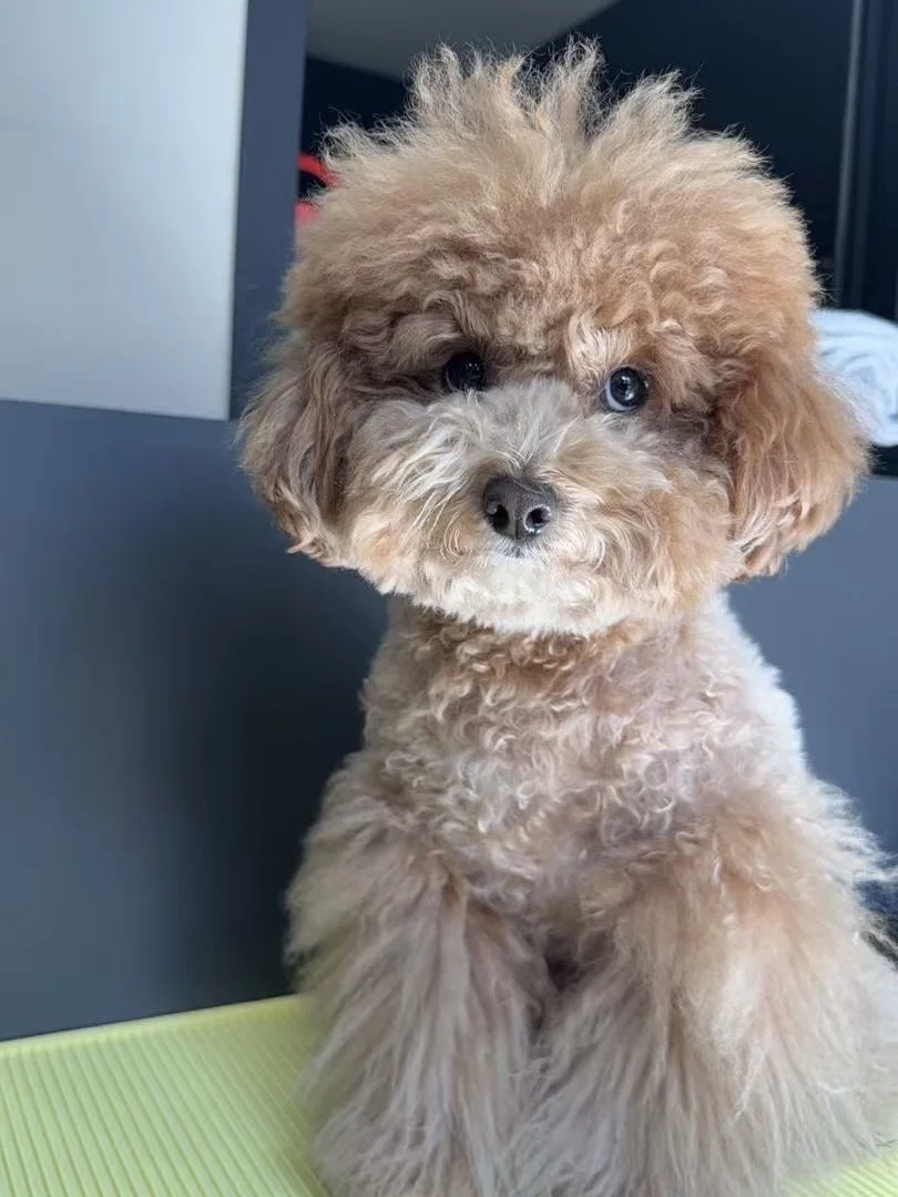 左滑收拾收拾准备过年