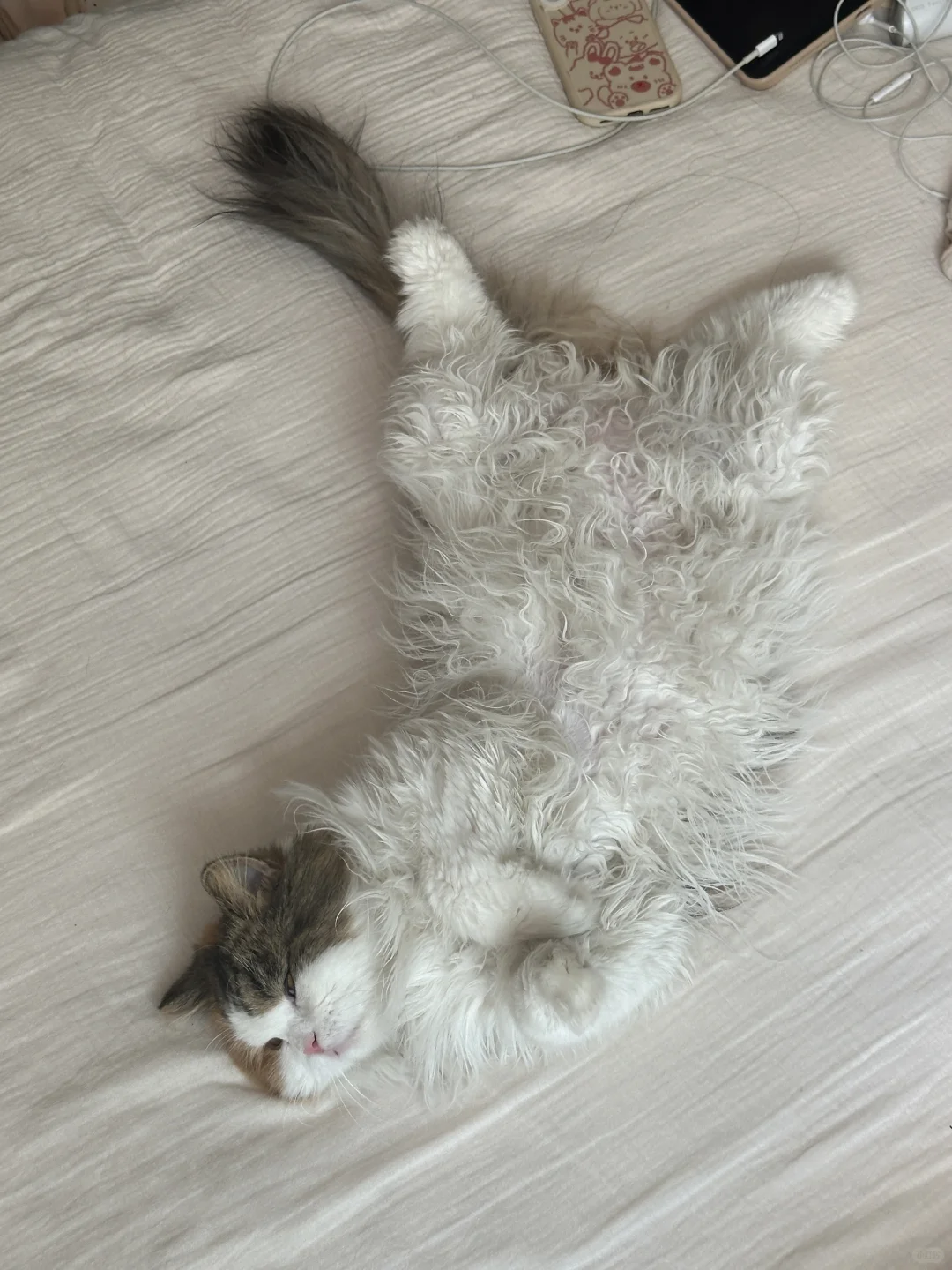 不敢发 怕大家笑我