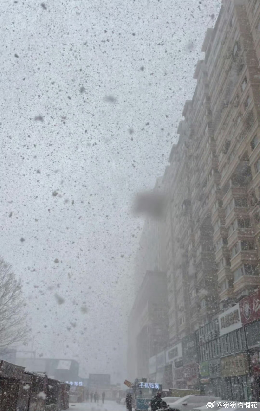 烟台暴雪下冒烟了这雪纷纷扬扬的下，实名羡慕了，我们这儿只下过一场，地皮都没有盖全