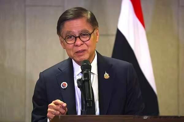 泰国外交部出来叽叽歪歪，很好理解，对他们的治安提出意见，他们不开心，这很好理解，