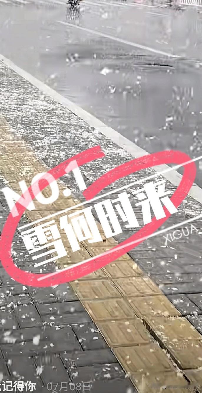 天津的雪何时来？
清晨6:50醒来，
满心期待推窗“遇”白色的世界 ，
天色渐阴