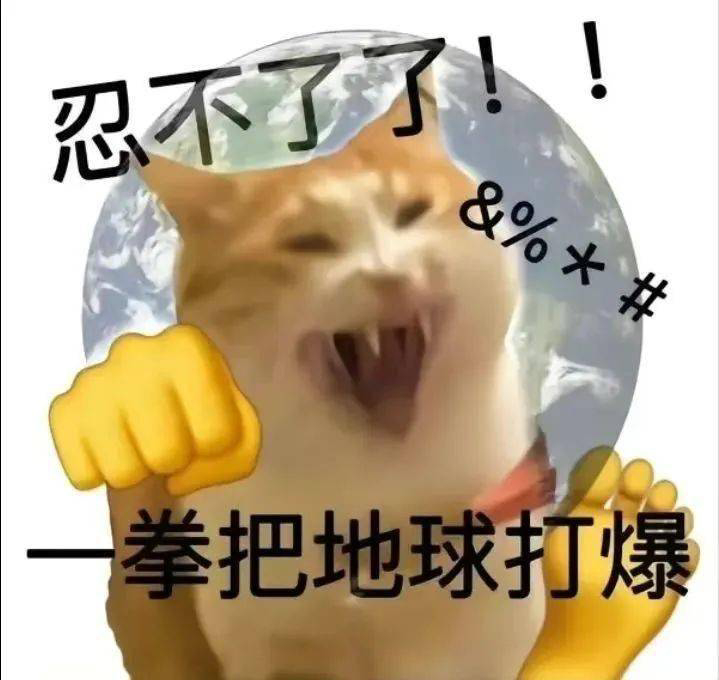 受不了了，晚上开始再剪一个鼠猫 