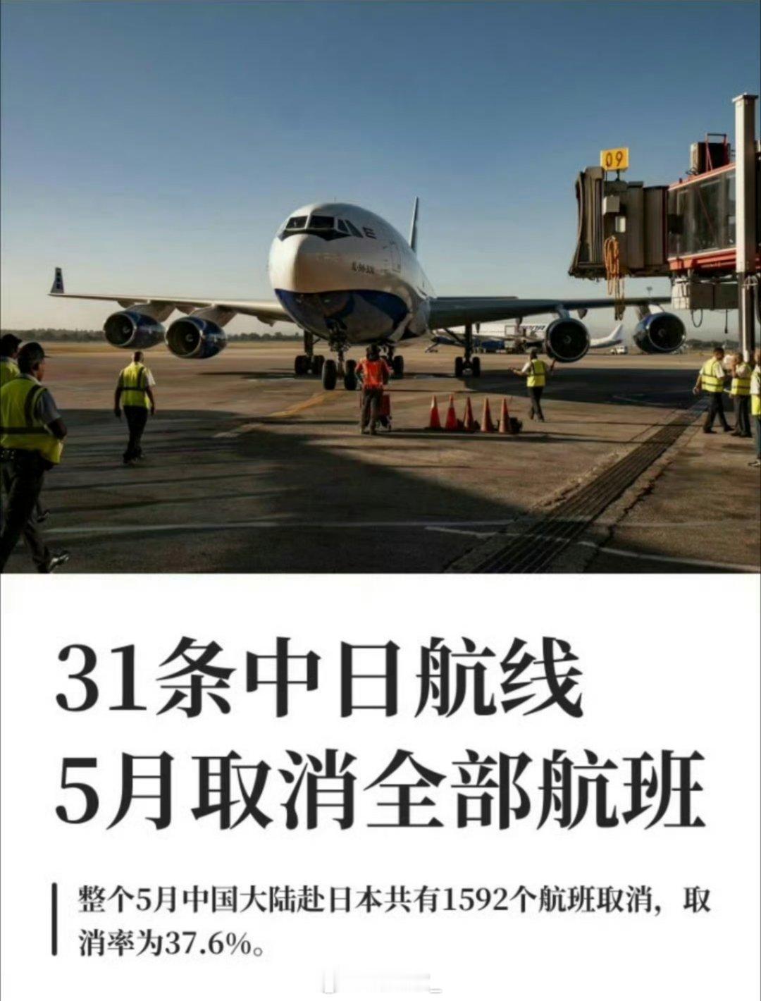 5月31条中日航线取消全部航班5月共计31条中日航线整月停航，全月赴日航班取消1