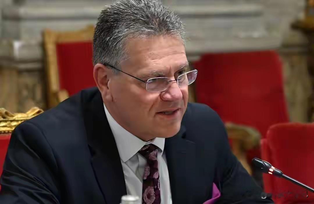 近期，欧盟对于稀土资源的担忧有着一定程度的缓解，依据欧方官员所披露的情况说来，中