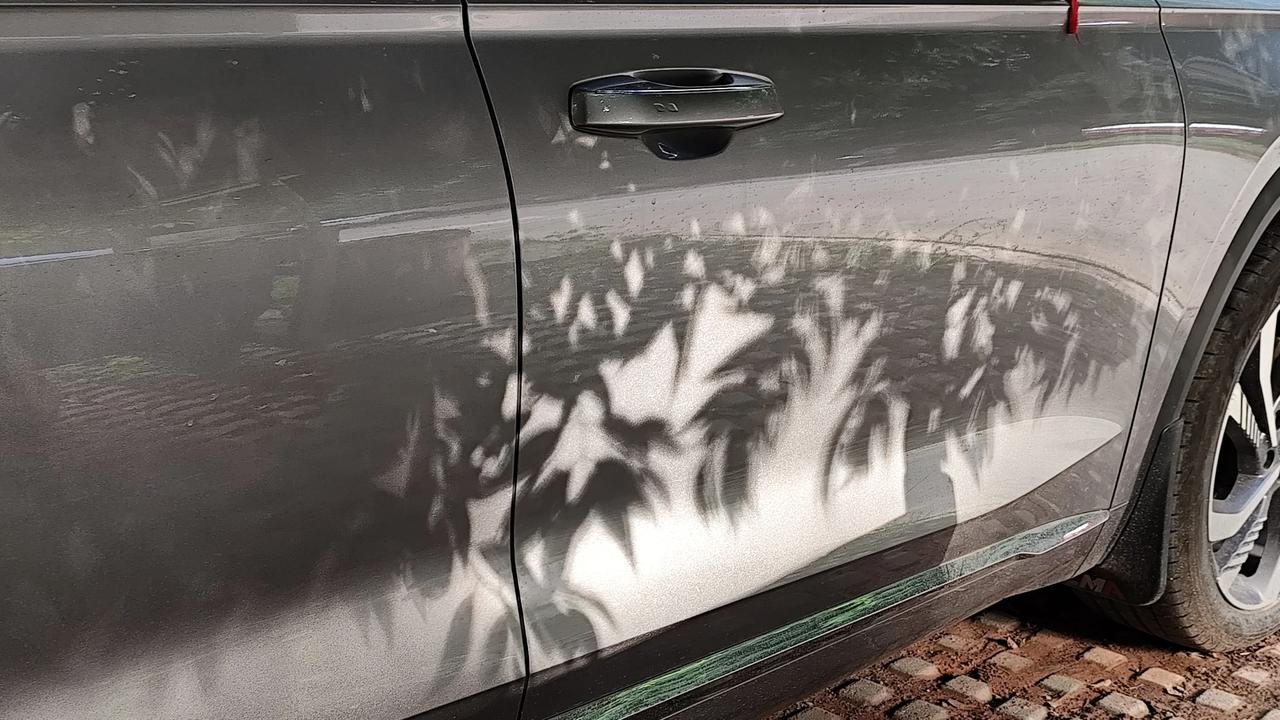 秋日生活打卡季平常生活中的光影之美自然风景图片分享