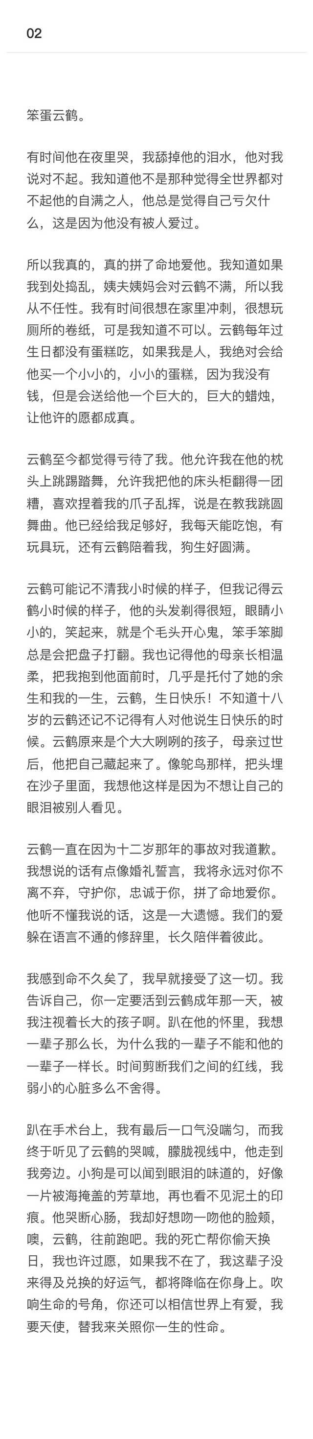 【萌】《噢！天使》*孤独的云鹤和他的小狗宰铉的故事*云鹤学会离别，是因为他的小狗