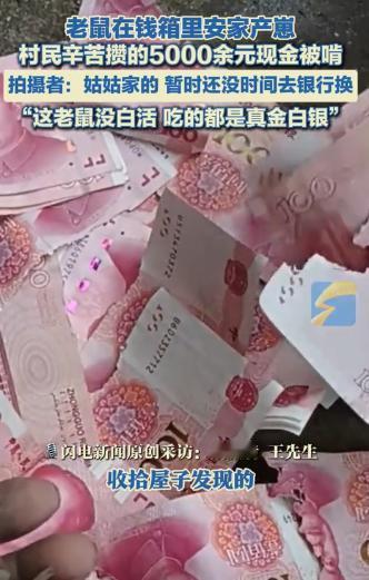 担心的事还是发生了！9月28日，河南驻马店，一男子在家中干活时，意外找到了一个装
