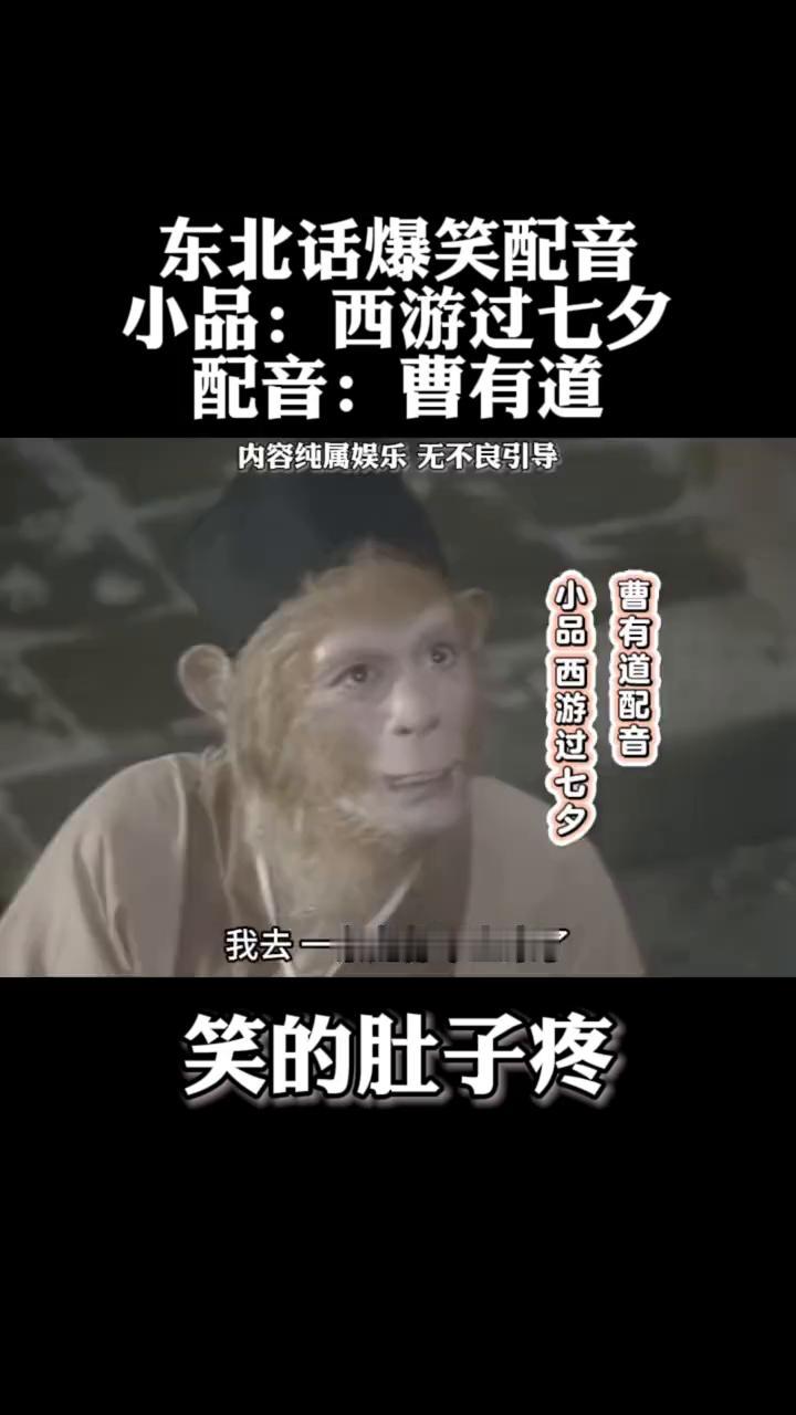 东北话爆笑配音：小品：西游过七夕。
配音：曹有道。
眼瞅到了小七夕，成全了各种山