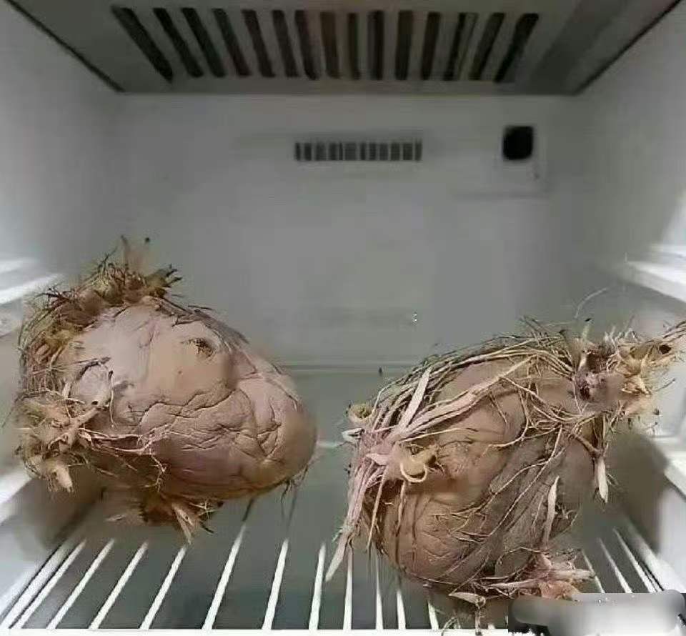 老一辈就是节约，殊不知电费都比他们贵 
