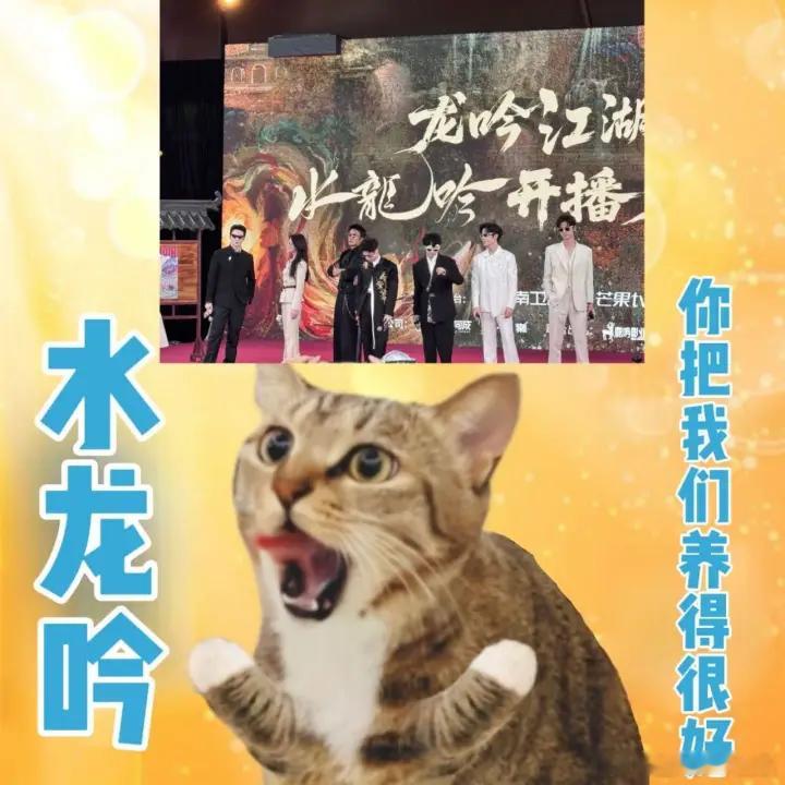 水龙吟开播见面会水龙吟开播排面 《水龙吟》开播见面会的排面真是没话说！精美的舞蹈