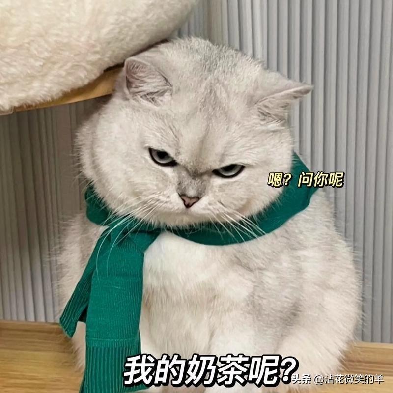 这几天总是记三忘四，稀里糊涂。

昨天出门逛街，随手关了手机无线网，回家后愣是忘