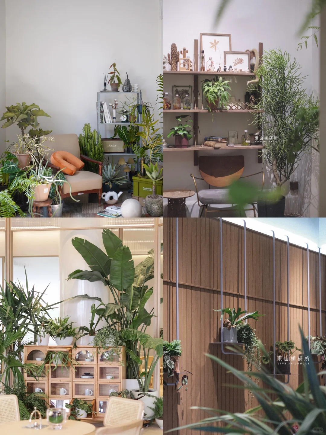绿植陈列合集 | 角落里的艺术展🪴