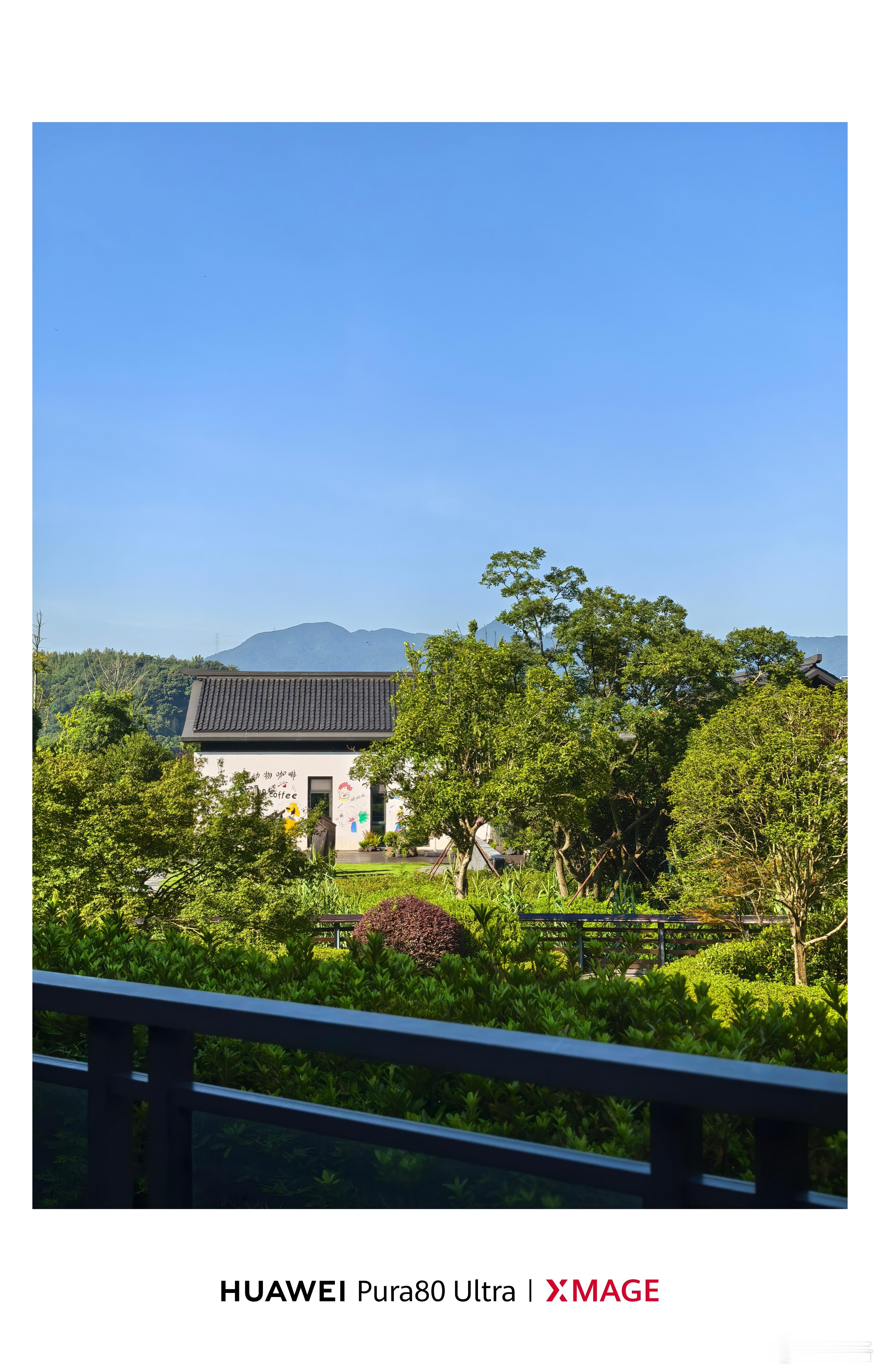 早上好啊朋友们，第一次来宁波，虽然也挺热，但是风景不错[老师爱你]  ​​​