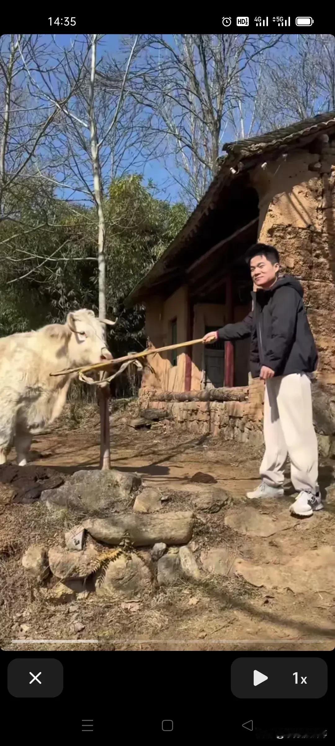 董宇辉，真的是货真价实的农村娃！看村里斑驳破旧的泥土房（外墙的泥都快掉光了）
看