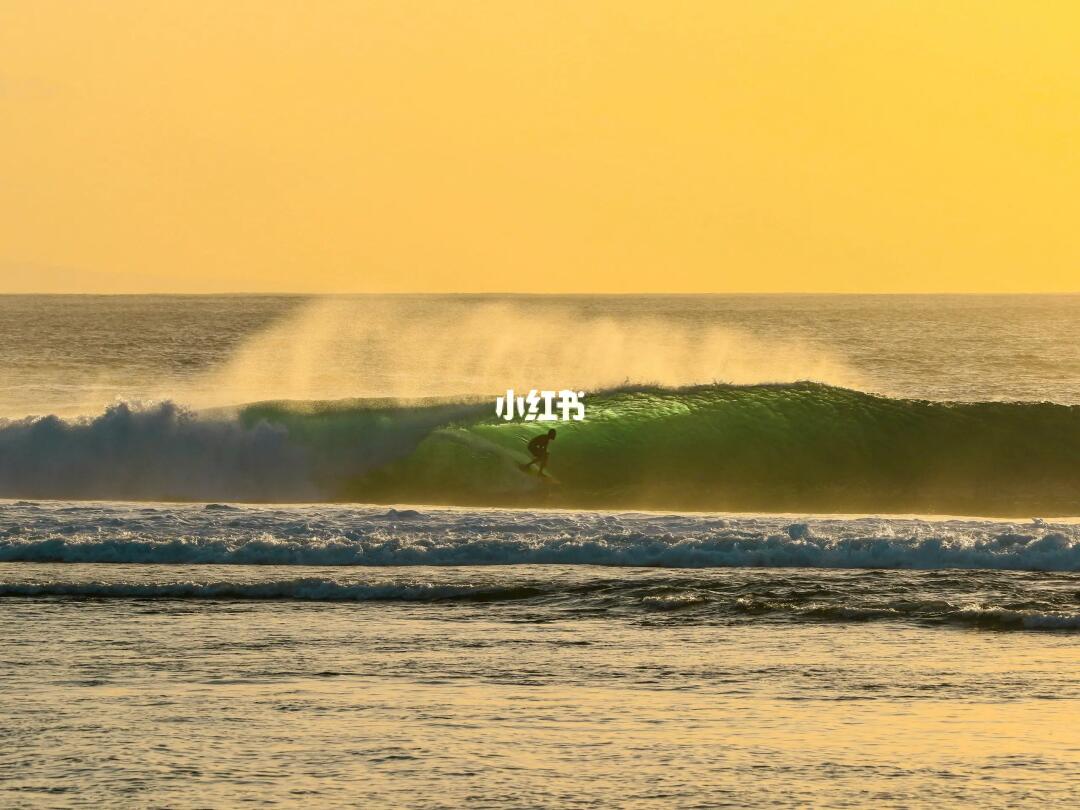 试试不加tag会不会推给ENTJ