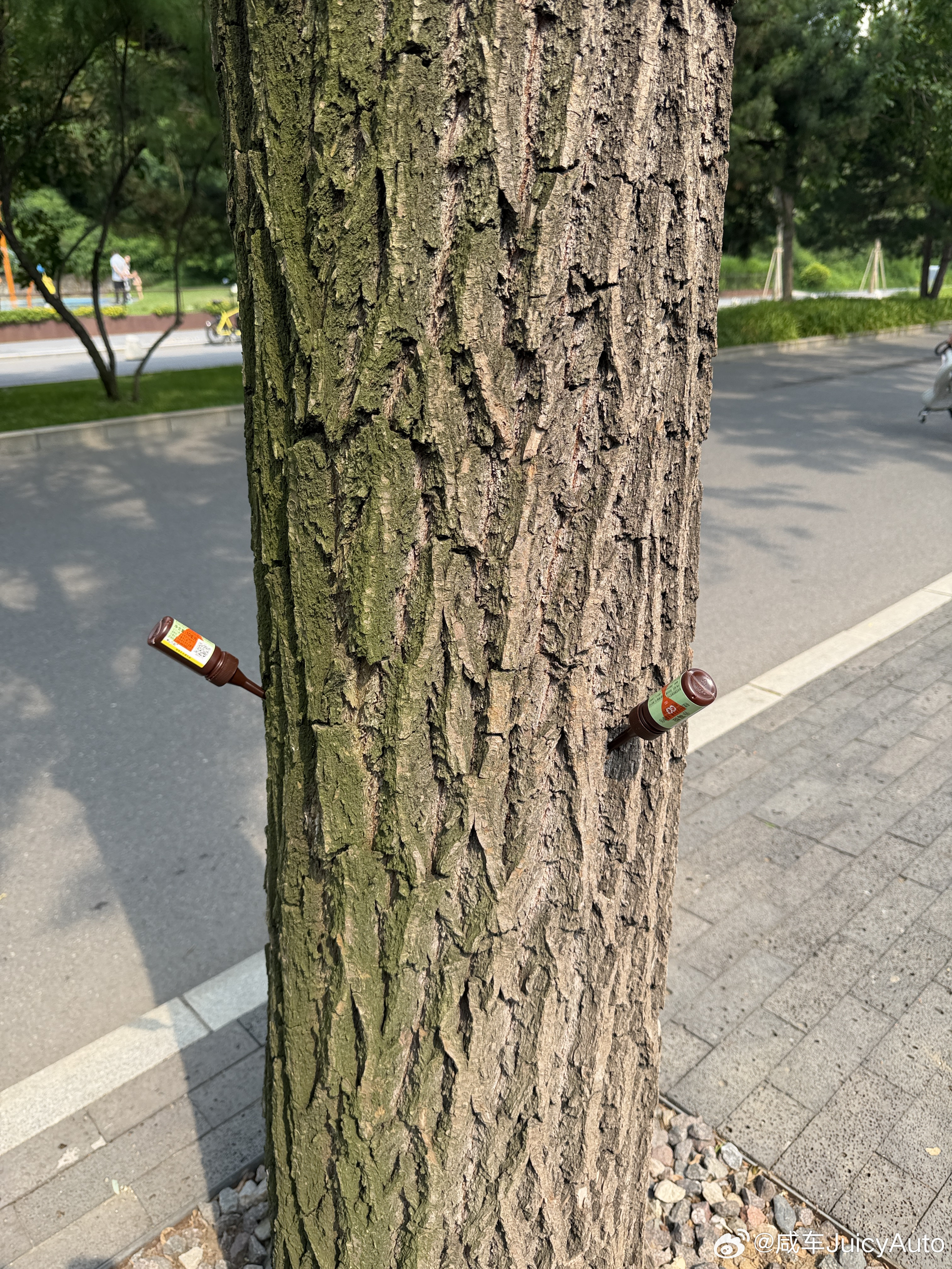 我发现一个非常蠢的词叫：早上坏 