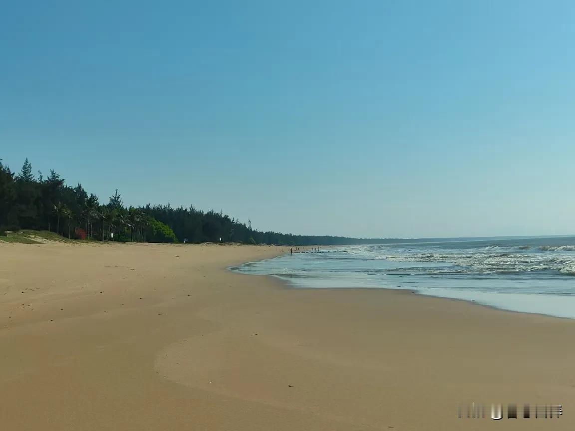 新梅绽蕊俏争春，年节团圆喜满门。
快意人生同庆贺，乐邀亲友共金樽。