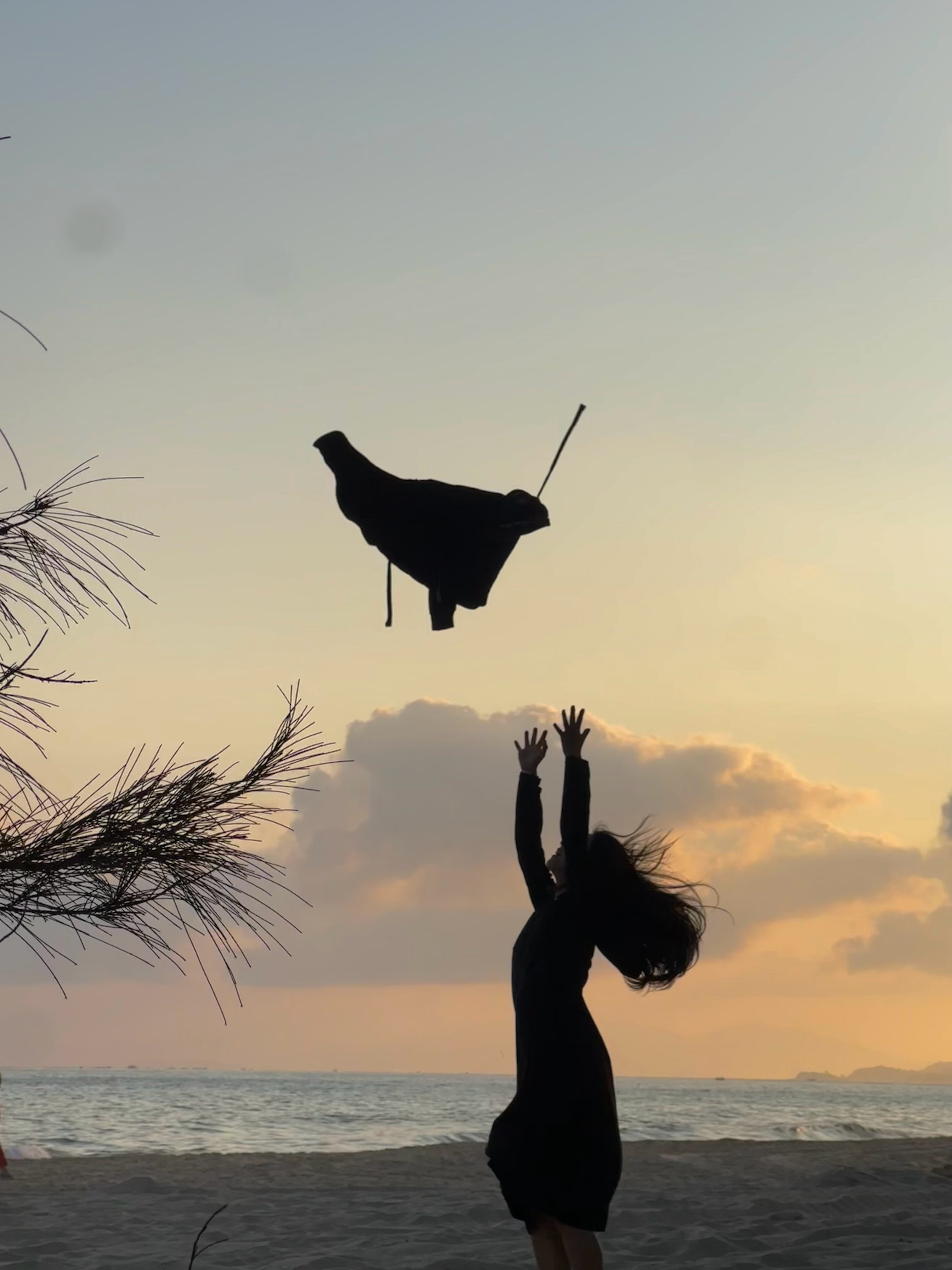 Recently🐈plog～看海是共享心跳💗 