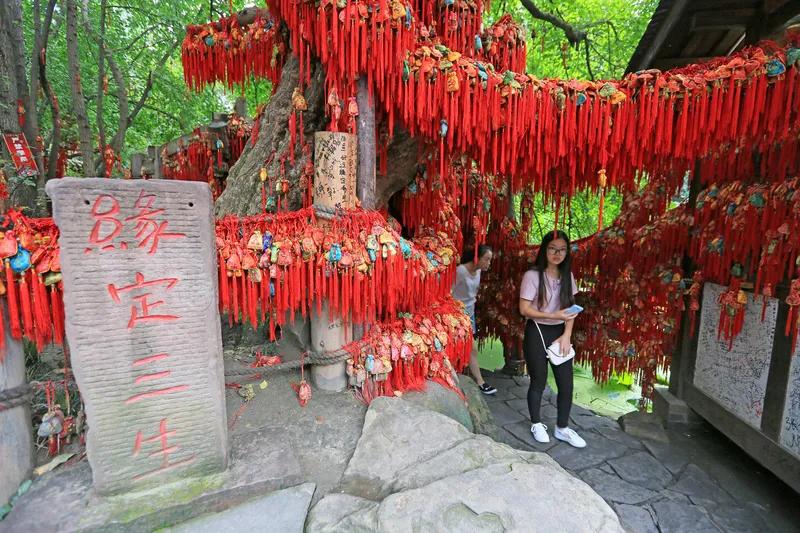 一份好缘留心间
三生有幸把手牵