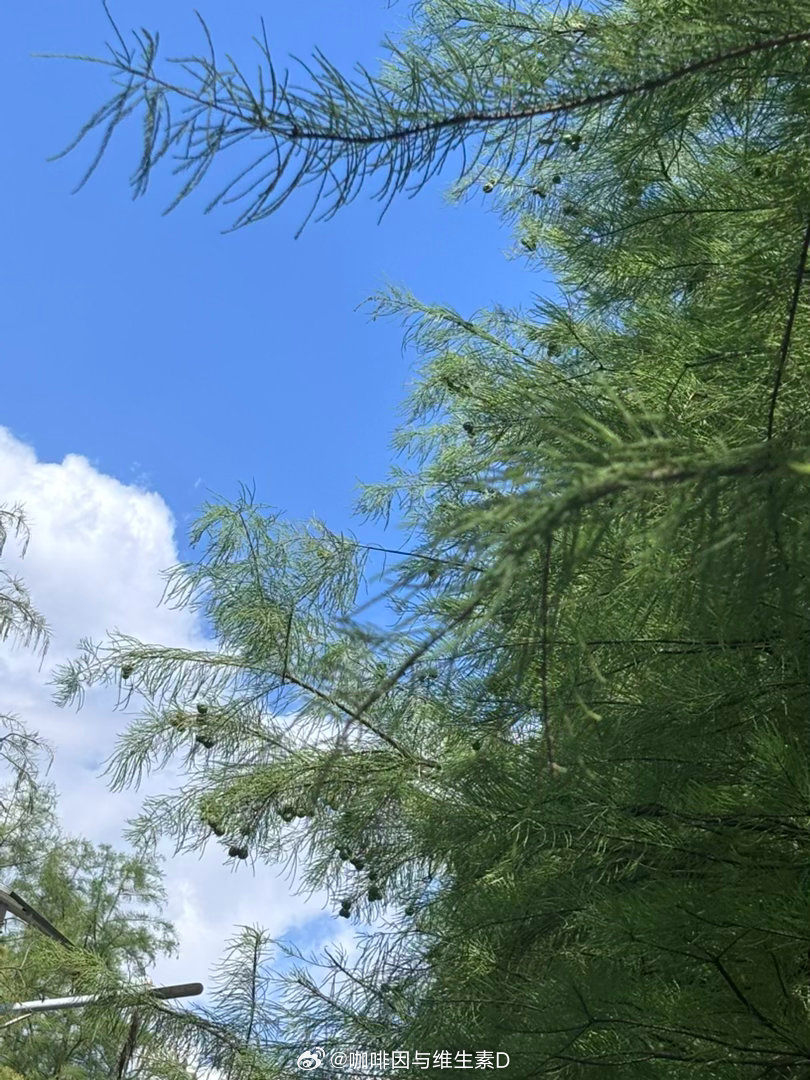 不知道怎么回事，我家宝宝这几天越醒越早，今天早上六点二十多就醒了。醒来就在叫我。