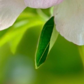 阳光信用 ❤️每日一善善，是生命中最温暖的底色。一个善意的微笑，是融化人心阴郁的