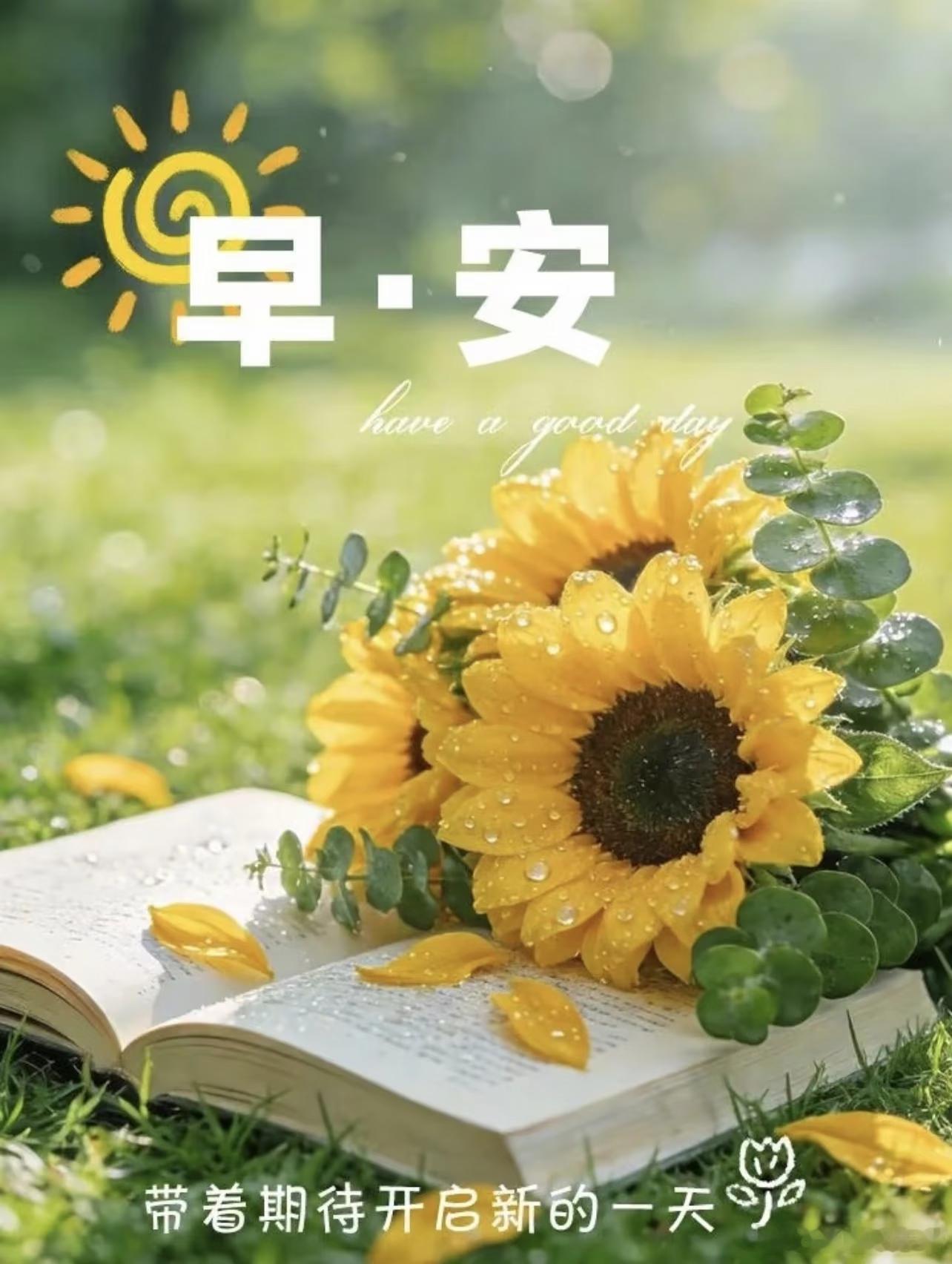 大家早安，晨起有风，事事从容