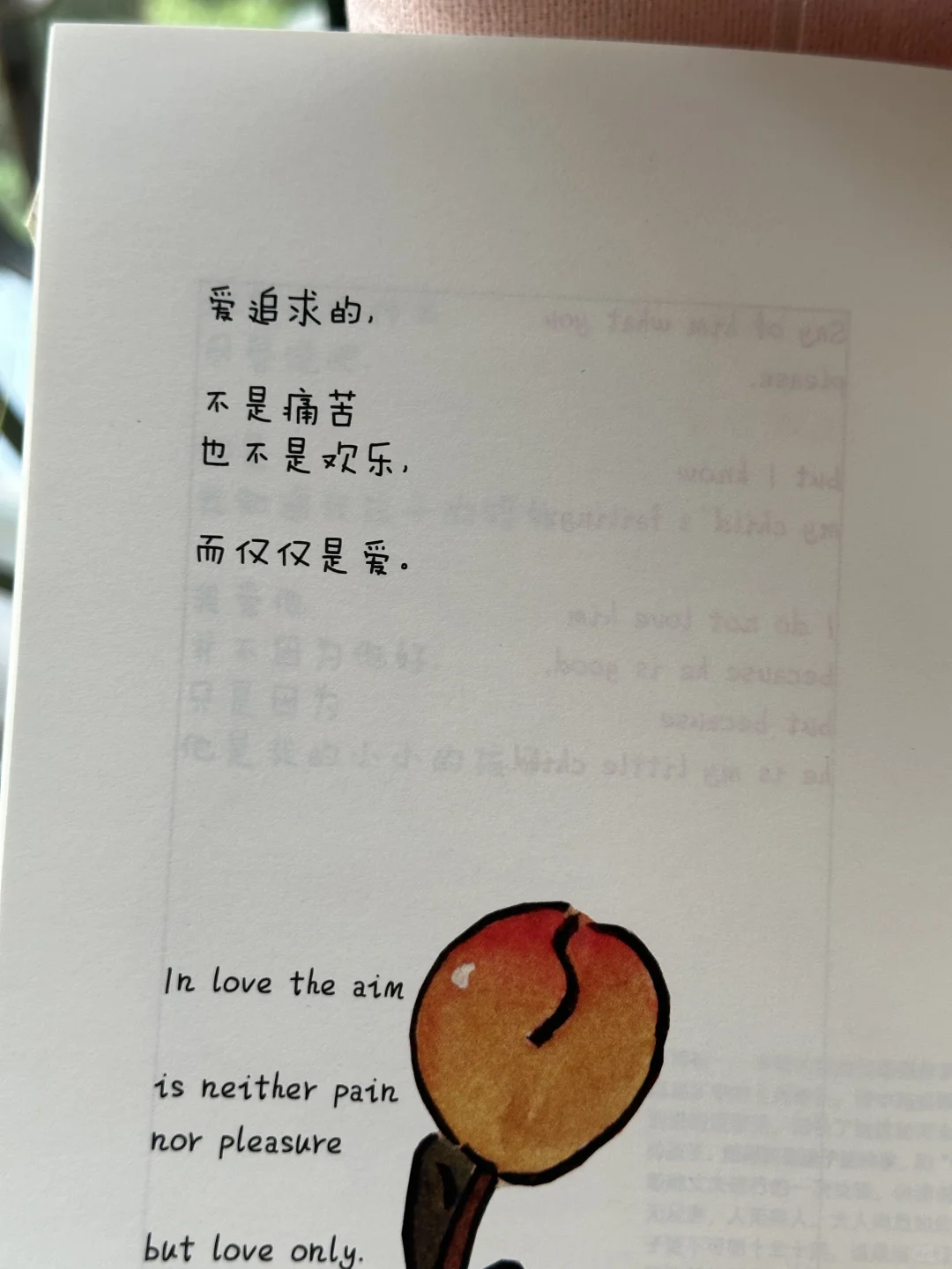 太太太治愈了！🌷真的好喜欢这本书啊～