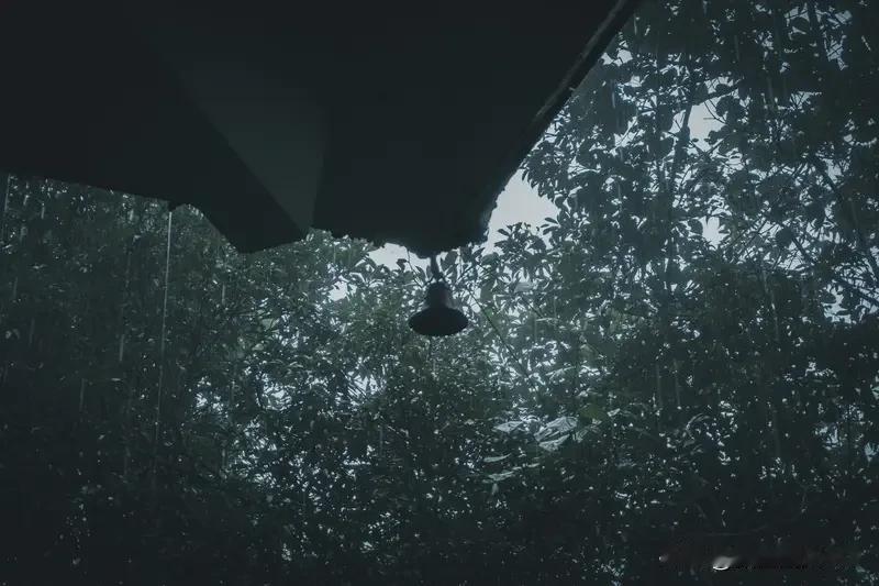 半夜，你喜欢听着雨入睡么喜欢。雨声是天然的催眠曲，它把世界的喧嚣滤成白噪音，像一