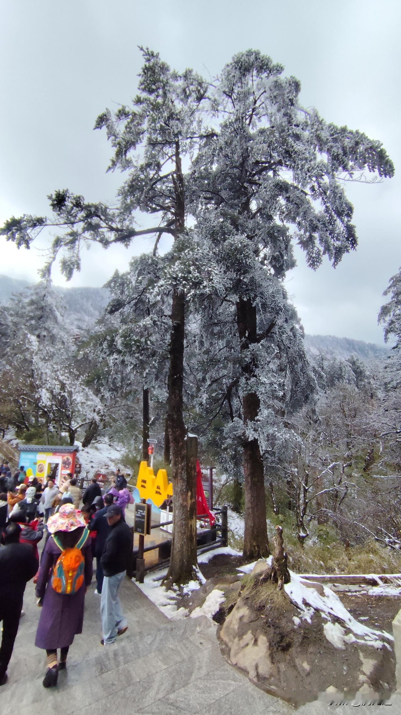 有没有好看的风景图片分享大雪罩峨眉