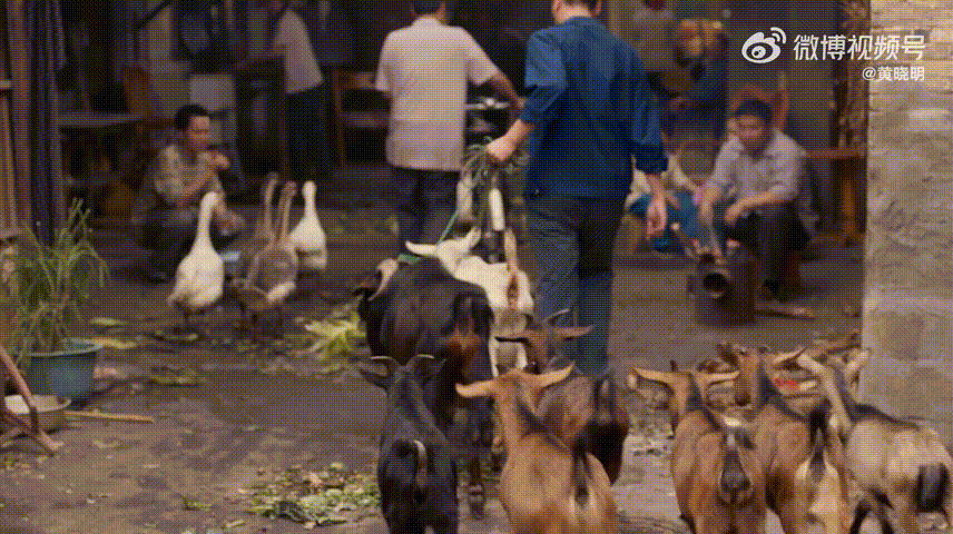 黄晓明新剧向上向下管理都很行黄晓明郑德诚会卯足了劲儿向前冲 郑德诚一心扎根月海谋