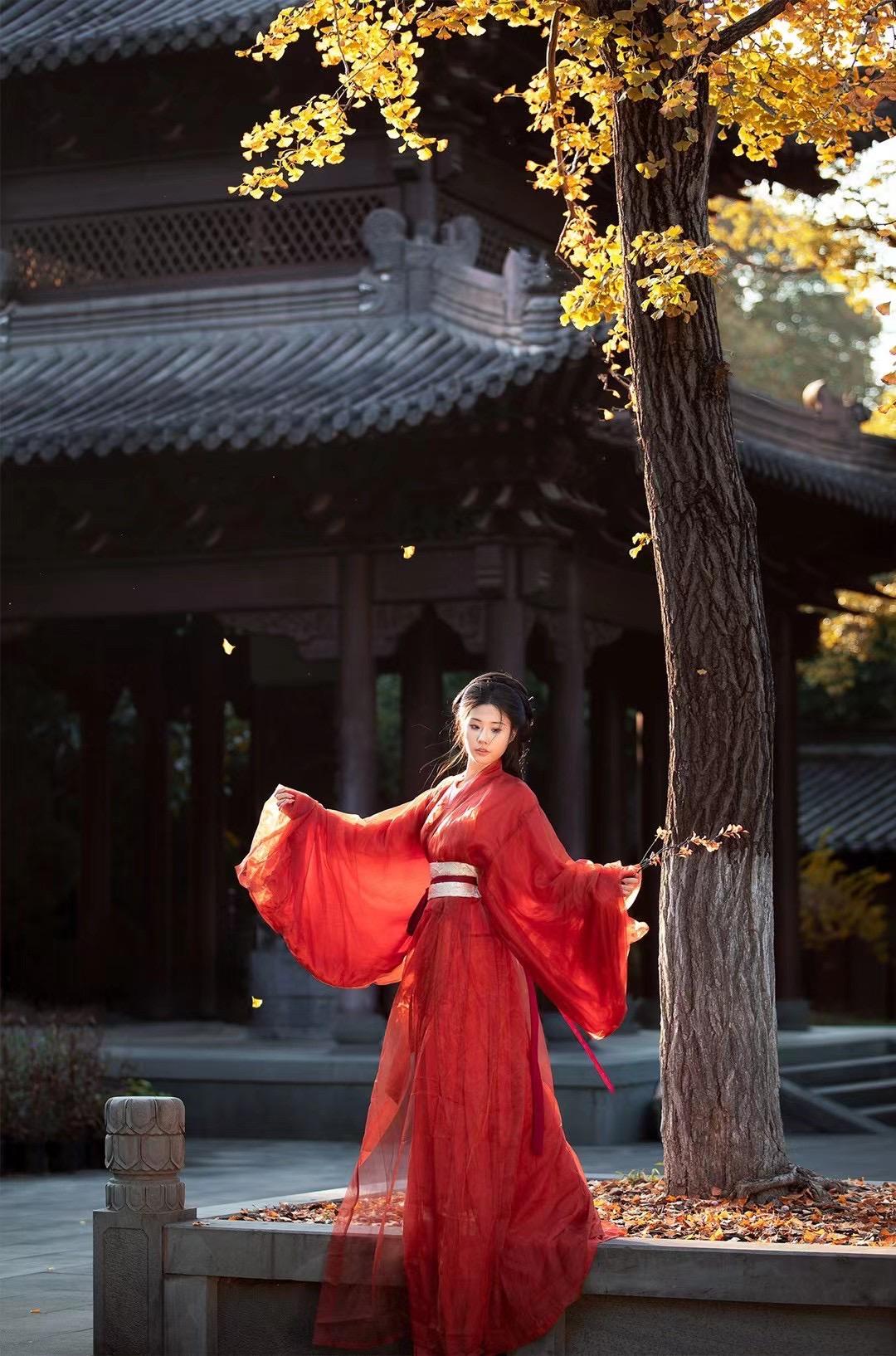 等一场银杏黄，赴一场秋之约。