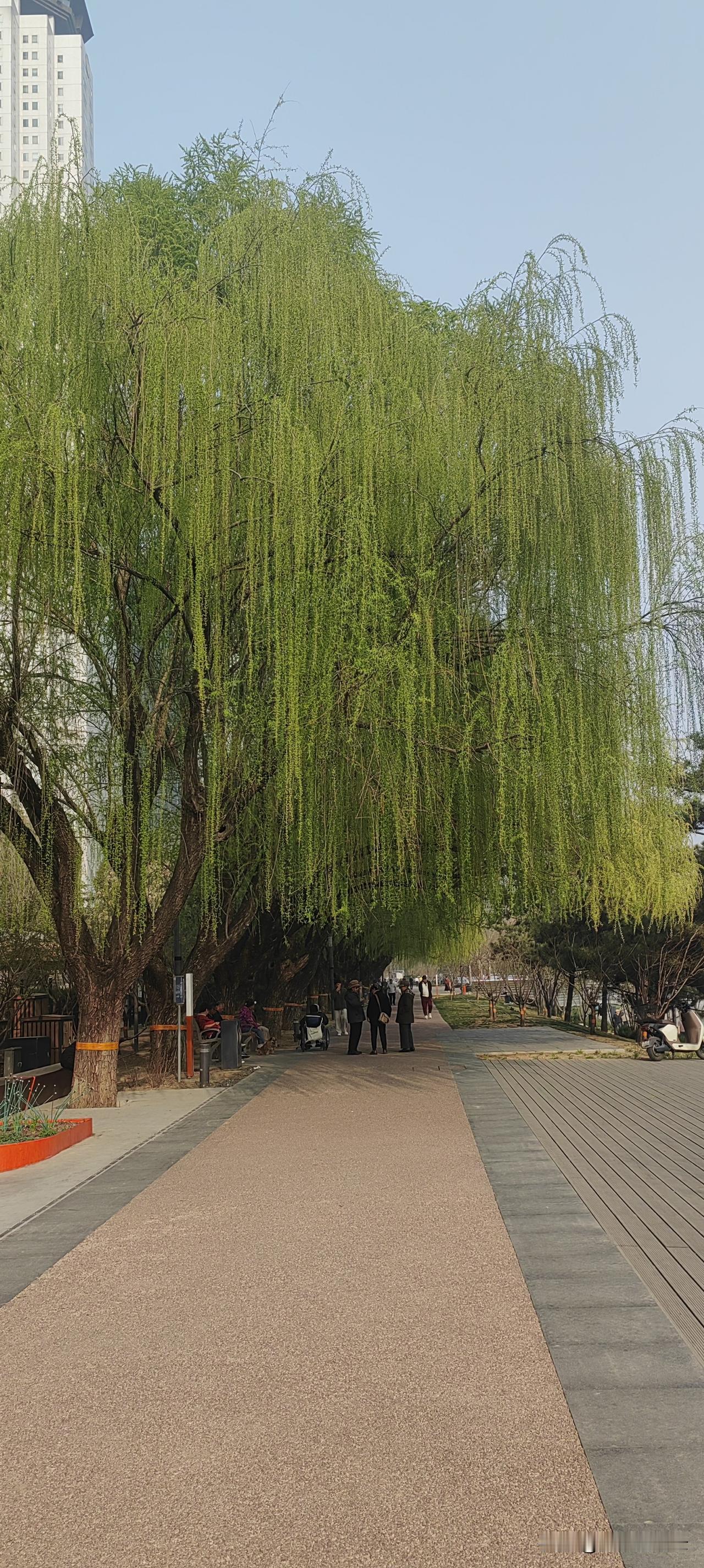 求同存异，相互尊重，是任何人际关系维持的关键因素。千人不同味，百人不同茶。每个人