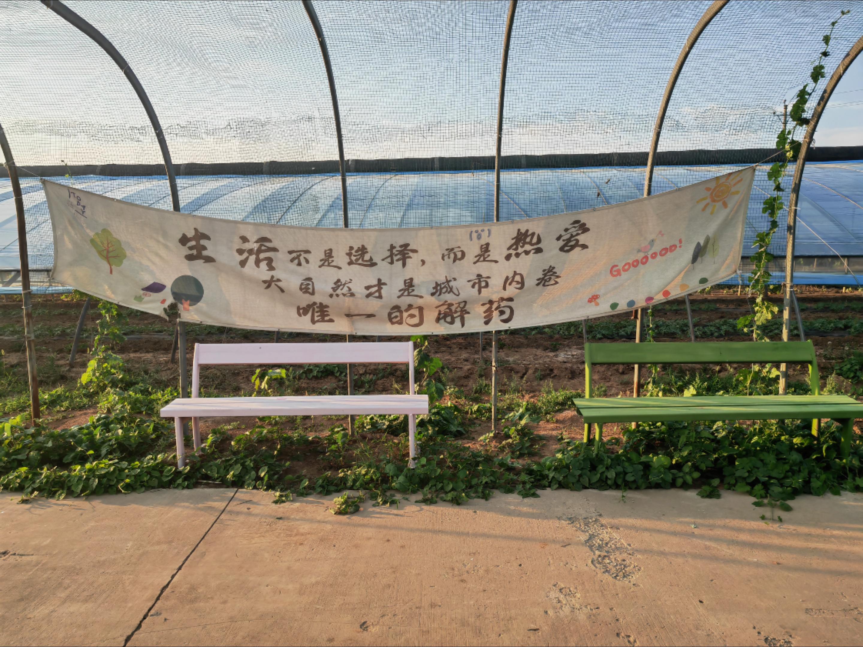 简易乳酸运动试验。