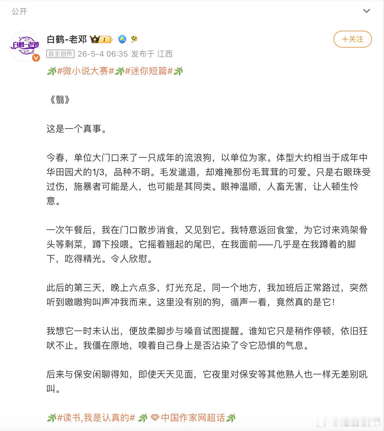 微小说微小说大赛这次巡展里反复回看的视频作品是《翳》。短片改编自白鹤-老邓的同名
