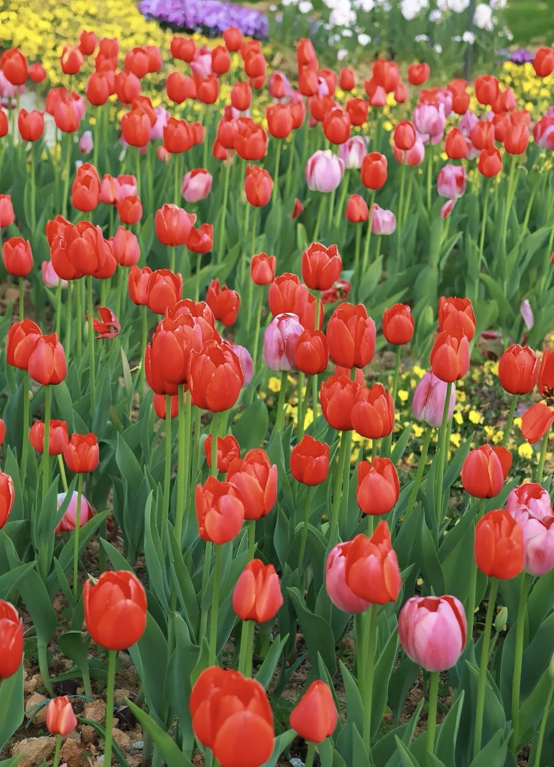 【你怎么理解“活在缘分里，而非关系里。”这句话】
        “活在缘分里，