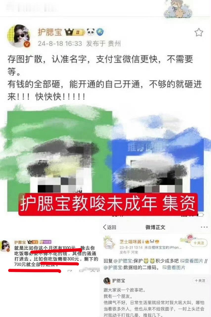 好可悲的粉圈，追星追的饭都不吃了，大粉教唆集资不知道是犯F的吗？ ​​​