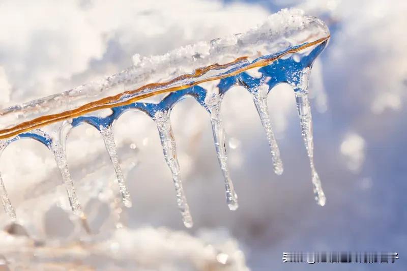 哈尔滨16米大雪王解冻的消息还挺让人唏嘘。近日，网友拍到中央大街的雪王雪雕被挖掘