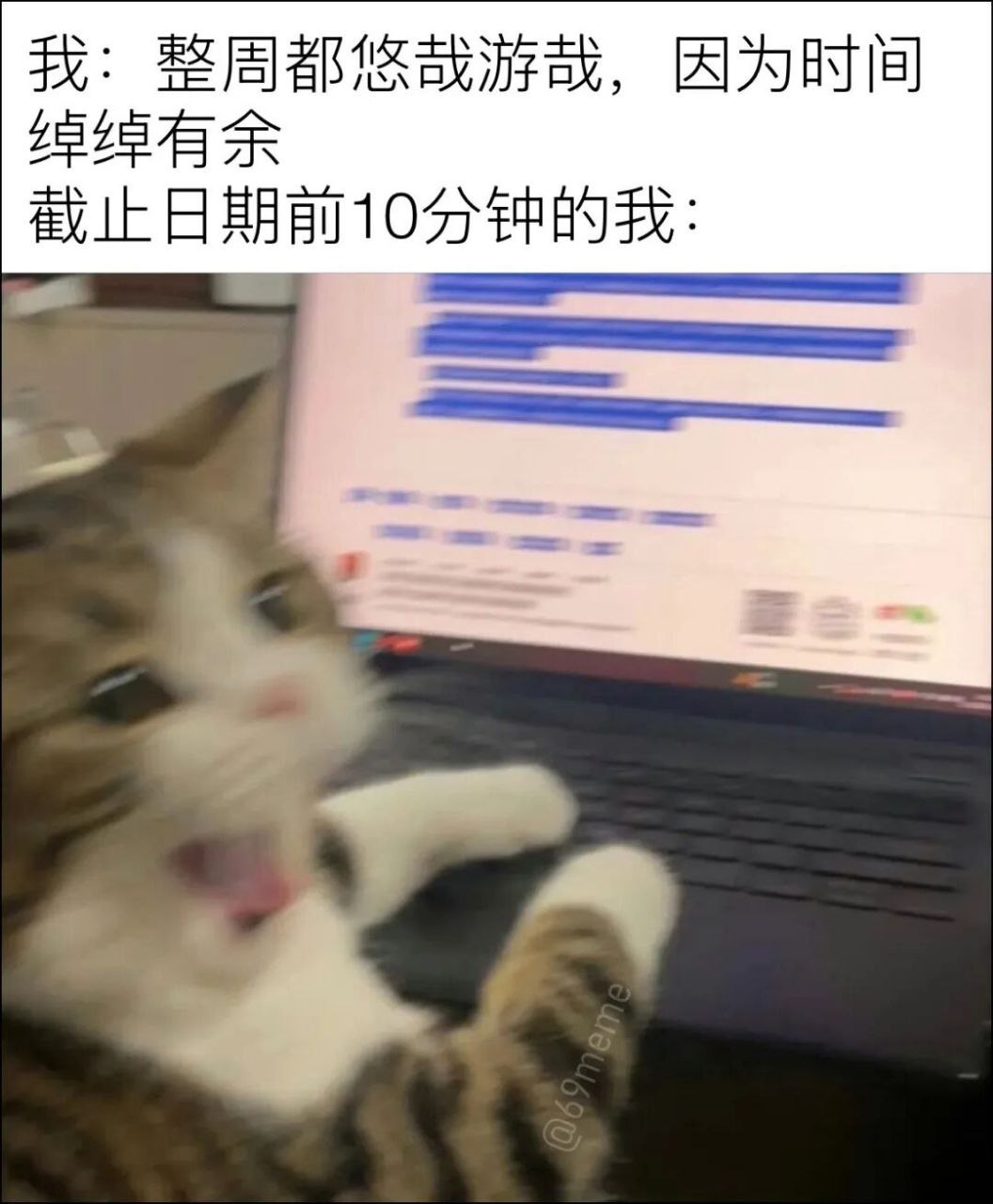 哦不 ​​​