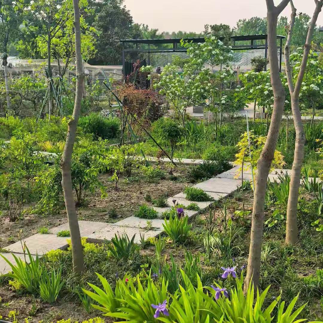 《夏日山居》

翠竹阴浓锁昼长，清风徐来透窗凉。
蝉鸣深树声初歇，雨过空山草自香
