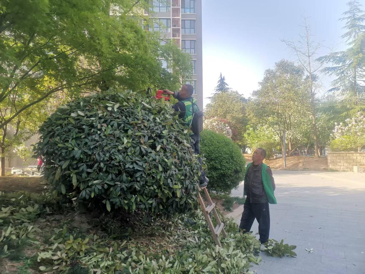 清明小假期，有的小区管理正规，物业人员还坚守在工作岗位。但是也有部分小区物业人员
