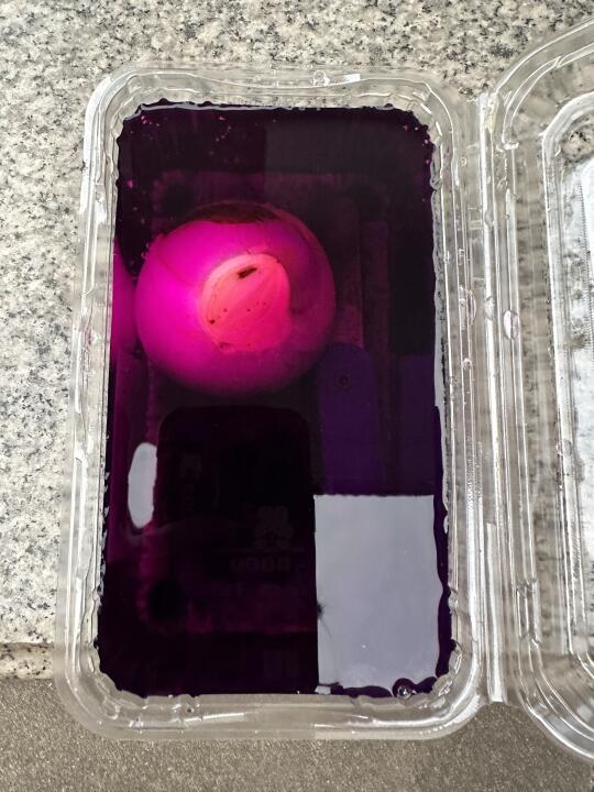 记录第一次切球