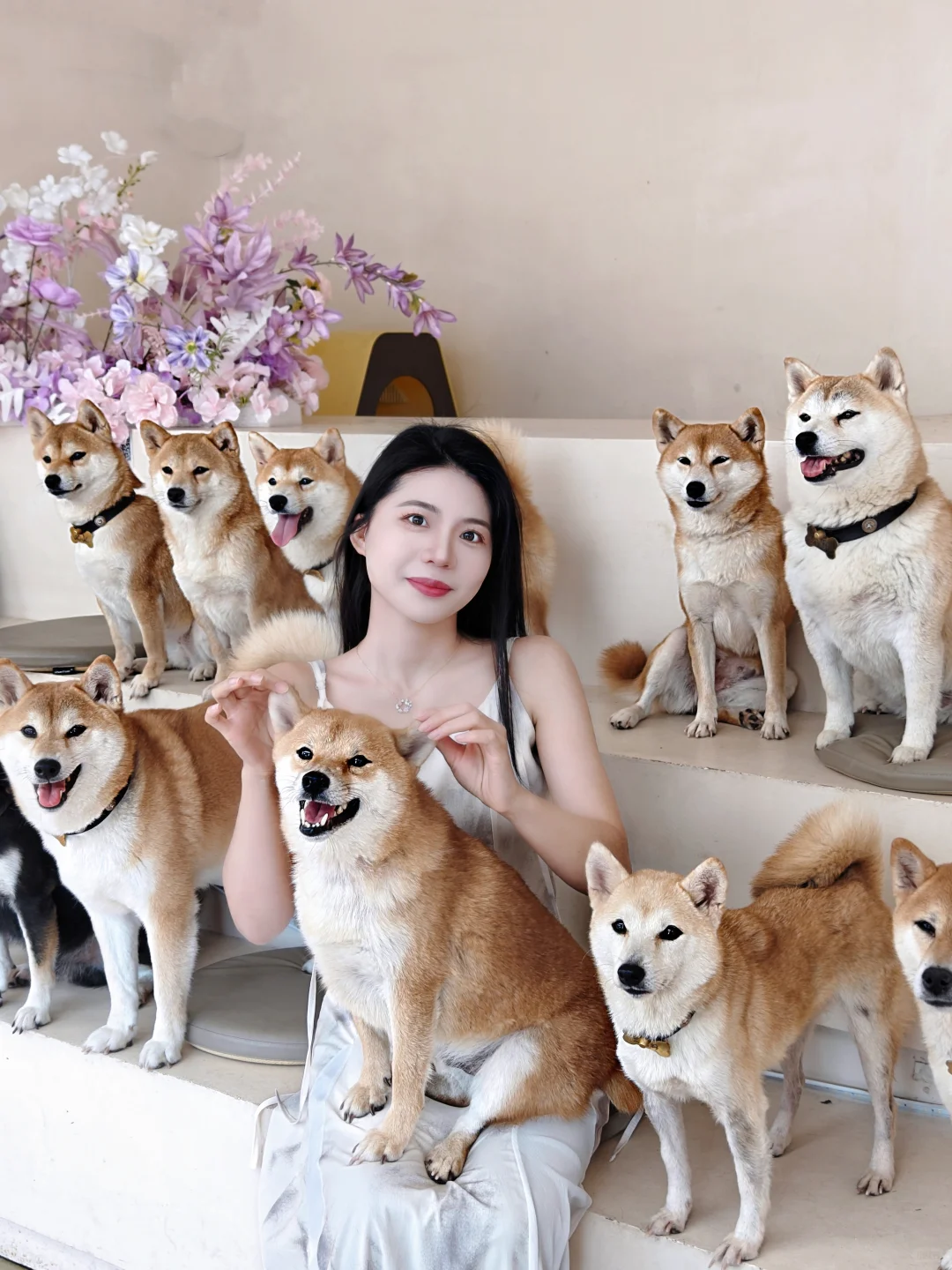 被⼀群⽑孩⼦🐶治愈的下午，来了就不想⾛！