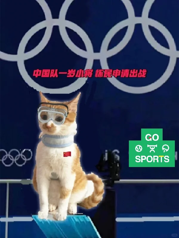 一岁跳将怀民｜勇闯小猫8🍐奥运！