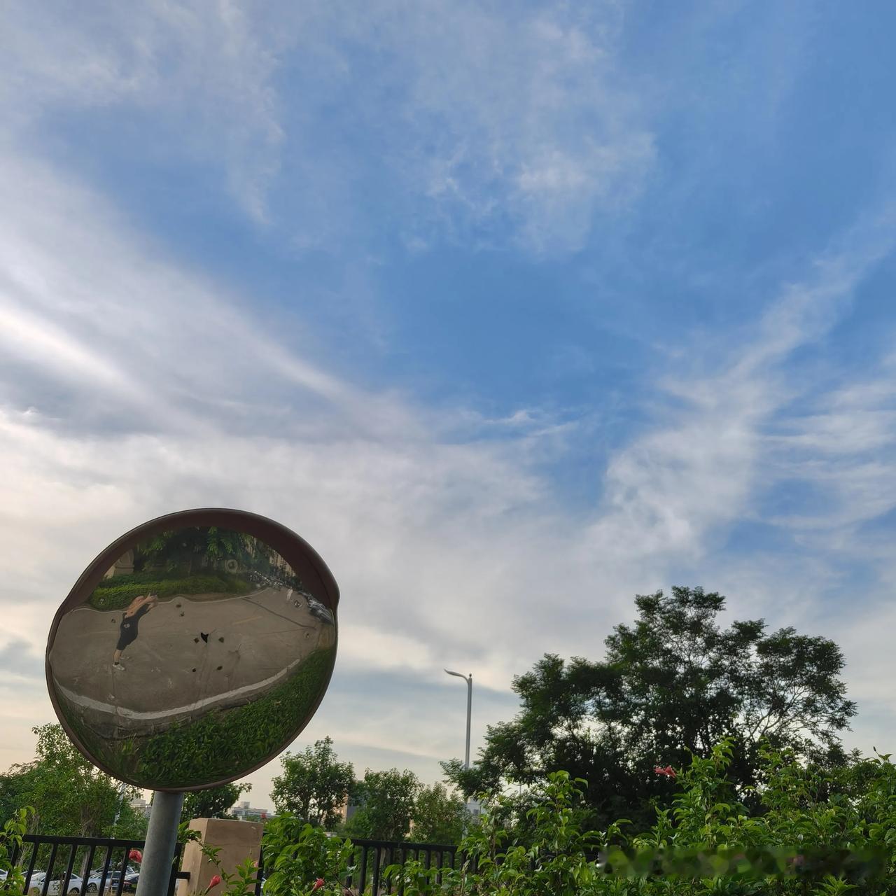灵山镇绿地曦园小区：清晨六点🕕，弯道旁的反光镜映出天空、云彩，还有地上的青草?