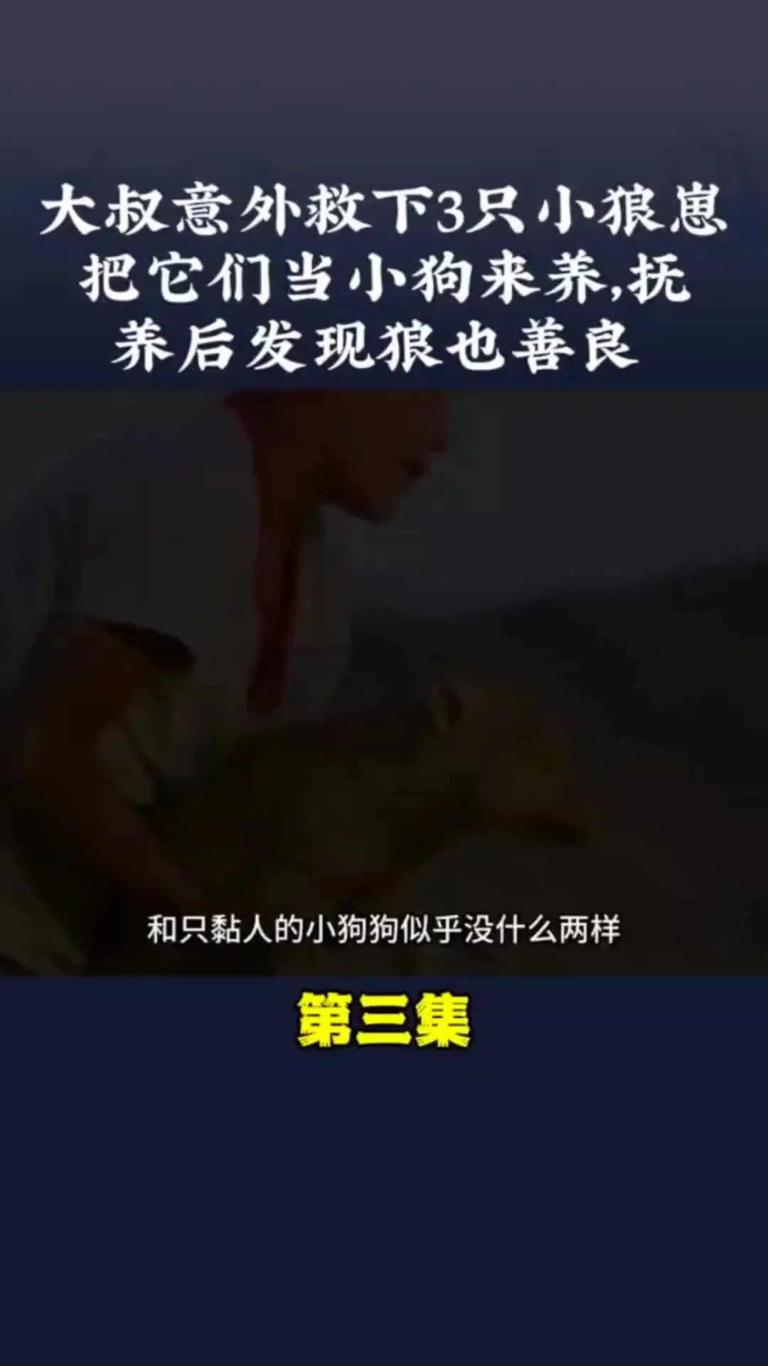 动物世界