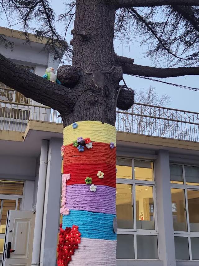 这种万物迎春的精彩氛围你见过吗？
在青岛海云庵旁的四方公园，人们正装饰着迎新春贺