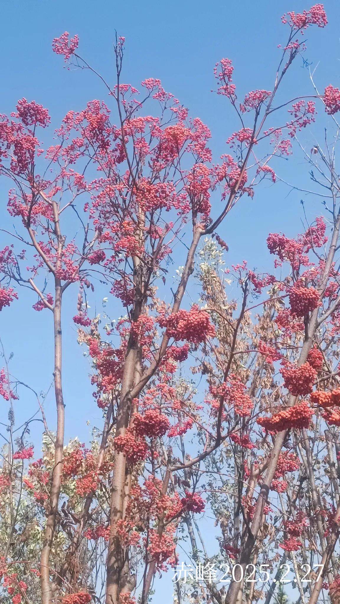 分享一张秋色的美景随手一拍，秋天的美景。