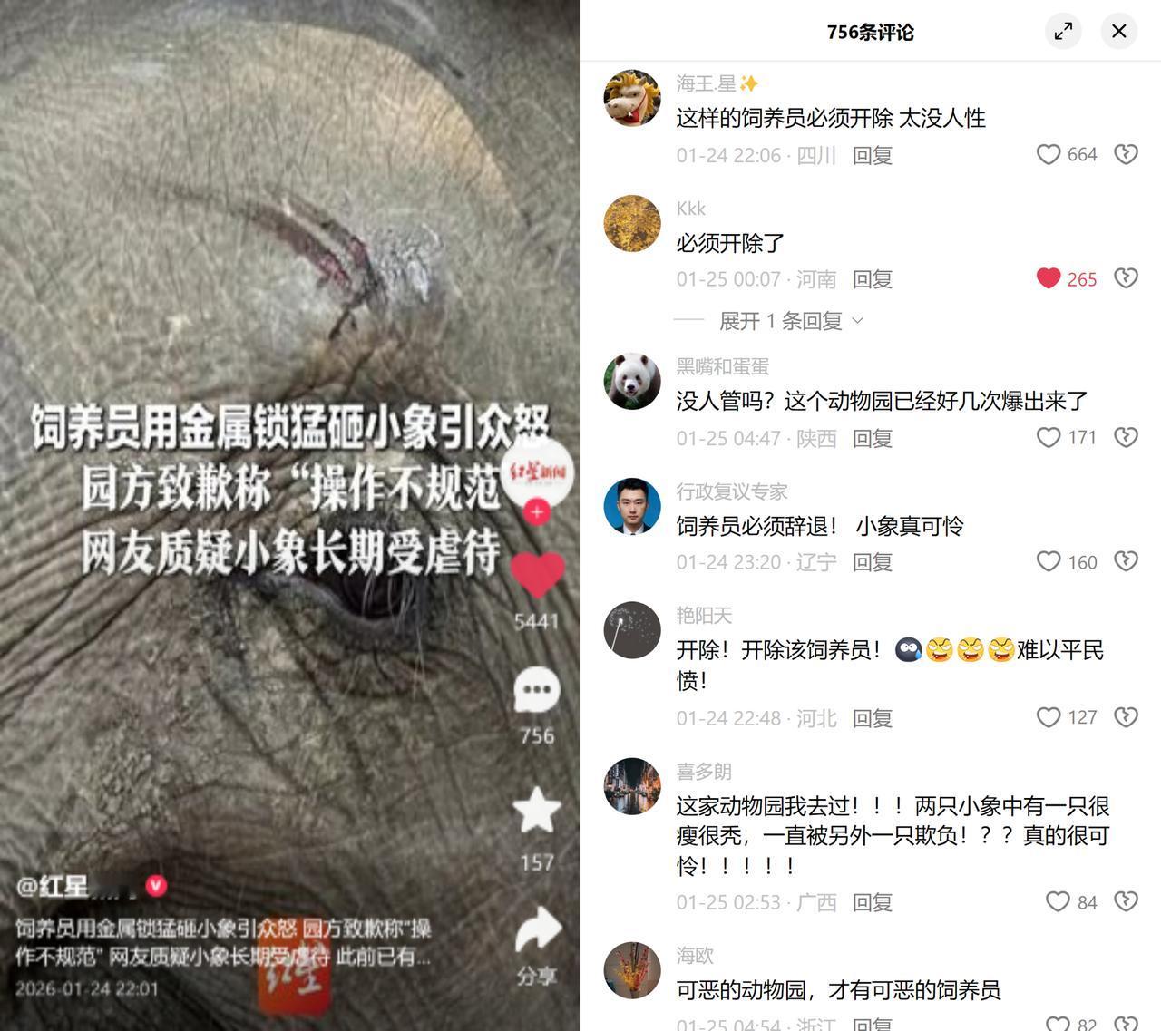 西双版纳野生动物园饲养员用金属锁砸小象的视频，昨天刷爆了朋友圈。

视频里，