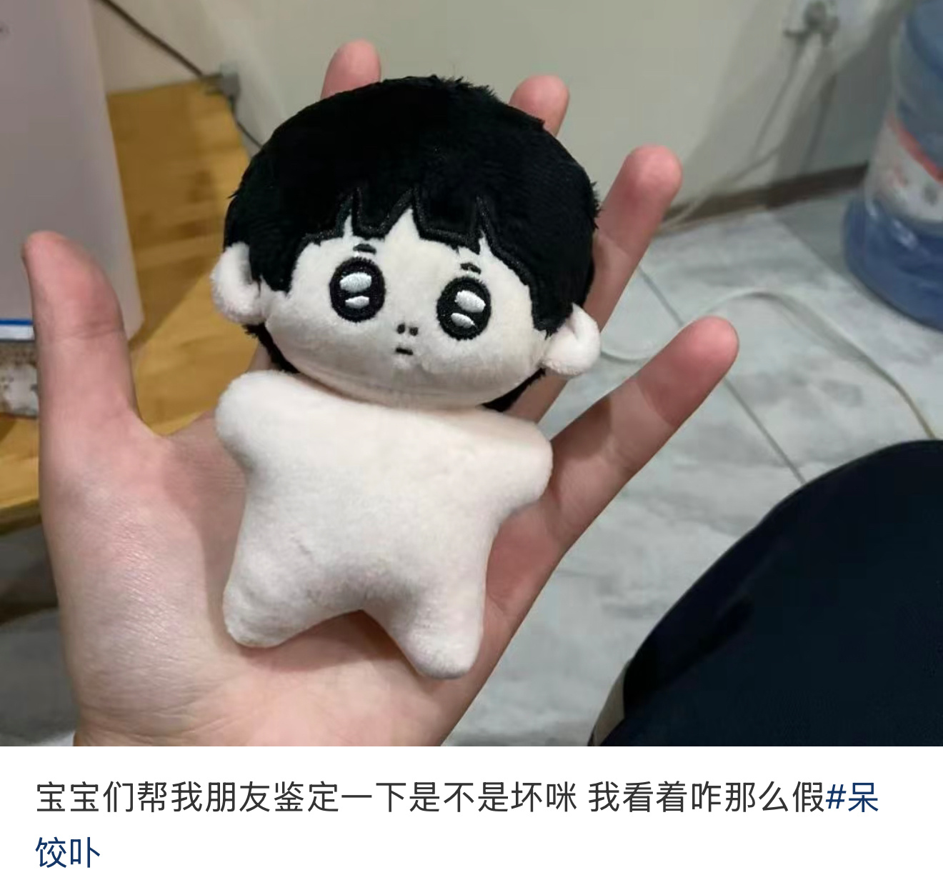 这个呆坏透了 